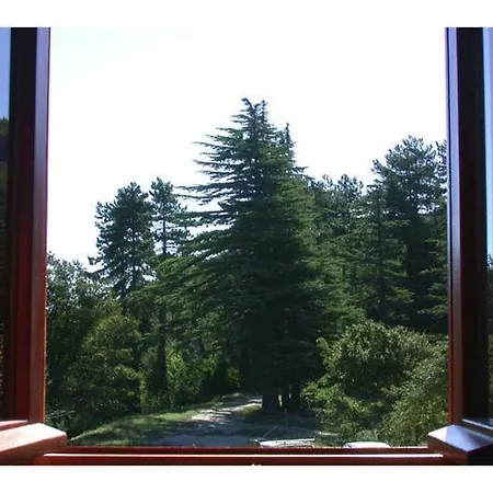 Buteo 度假居
